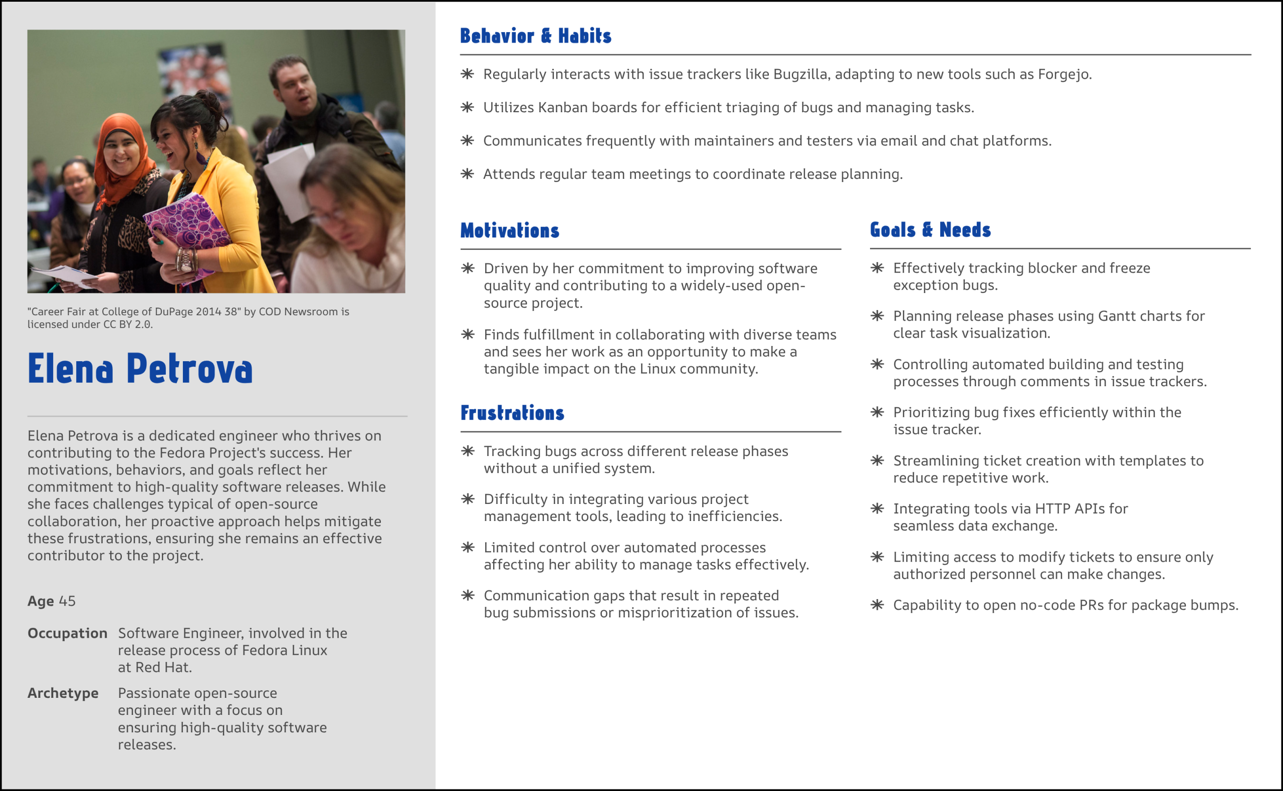 User Persona 2 – Elena Petrova – Engineer