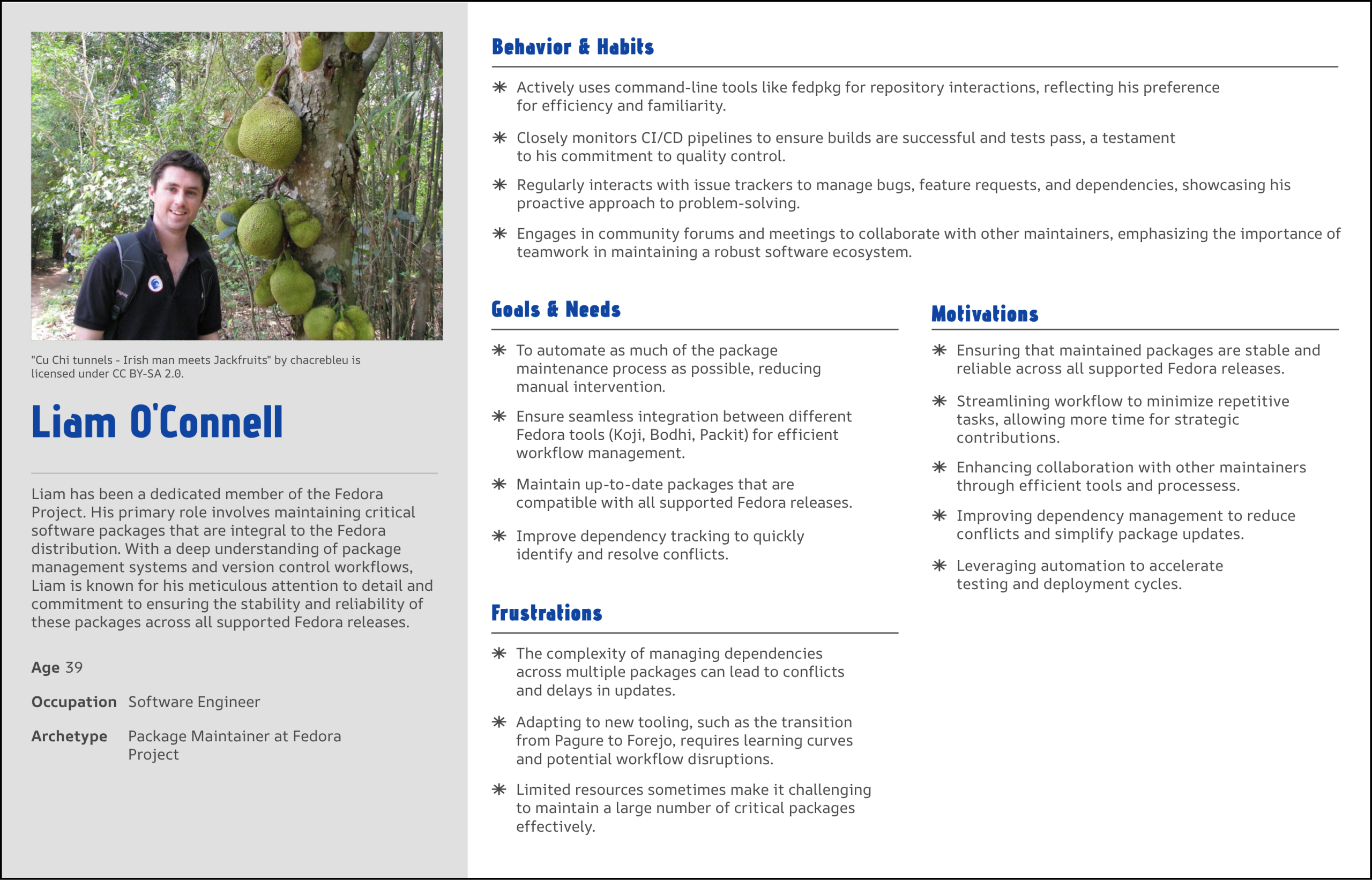 User Persona 3 – Liam O’Connell – Package Maintainer